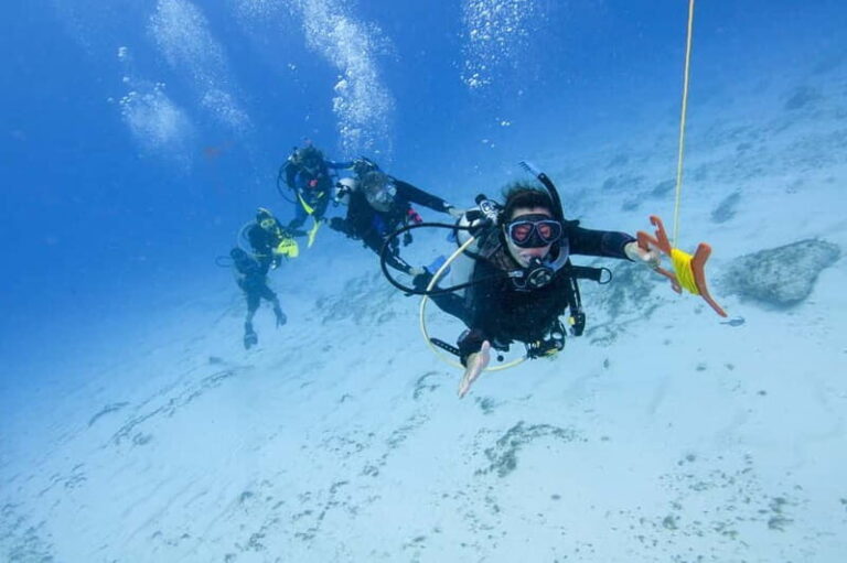 Sithonia: 1 Guided Shore Dive for Certified Divers - Who This Tour Is Best For