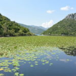 Skadar Lake day trip from Herceg Novi - A Complete Look at the Skadar Lake Day Trip