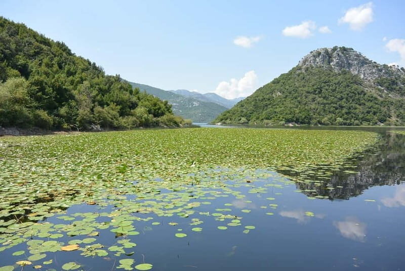 Skadar Lake day trip from Herceg Novi - A Complete Look at the Skadar Lake Day Trip