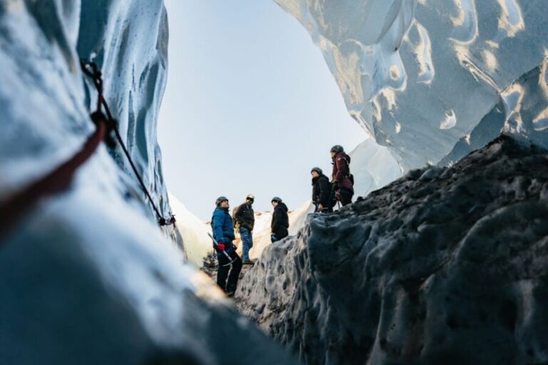 Skaftafell: Falljokull Glacier Easy Group Hike - Who Should Book This Tour?
