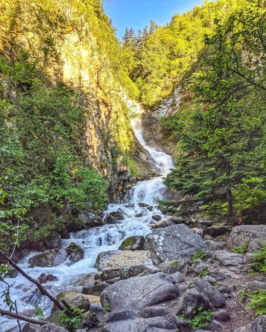 Skagway: Trail and Sail - Who Is This Tour Best For?