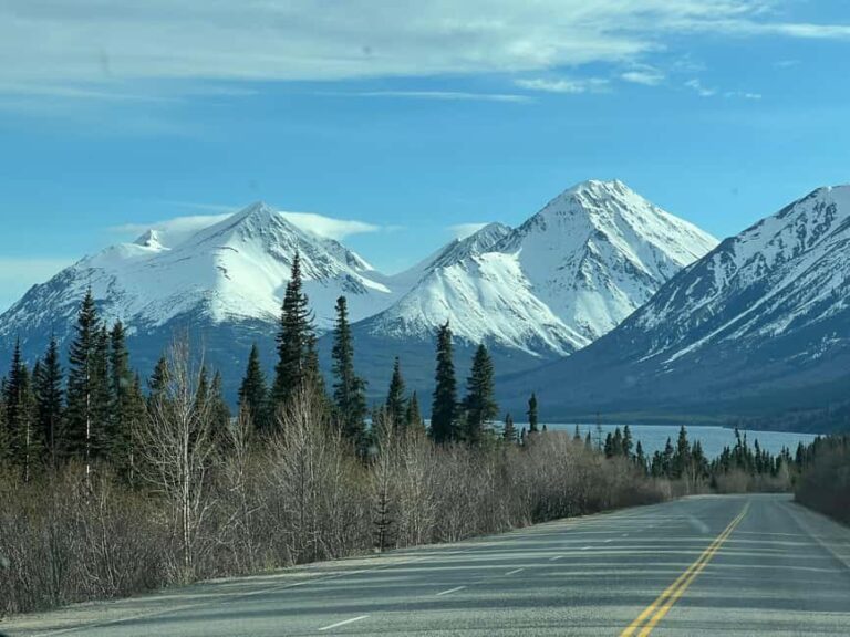 Skagway: Yukon Discovery Tour - Good To Know