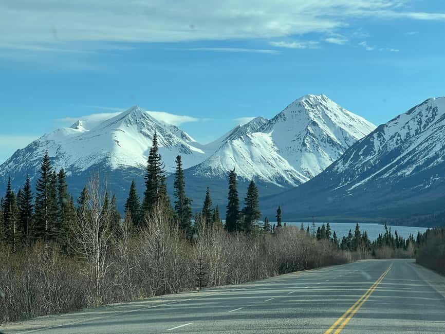 Skagway: Yukon Discovery Tour - Good To Know