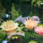 Skip-the-line Montreal Biodome Private Tour with Tickets - The Value of This Experience