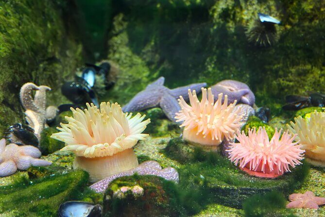 Skip-the-line Montreal Biodome Private Tour with Tickets - The Value of This Experience