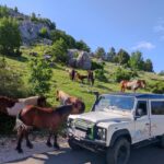 Skywalk (1228 m) and St. George (1762 m) Eco Tour - Who Should Consider This Tour?