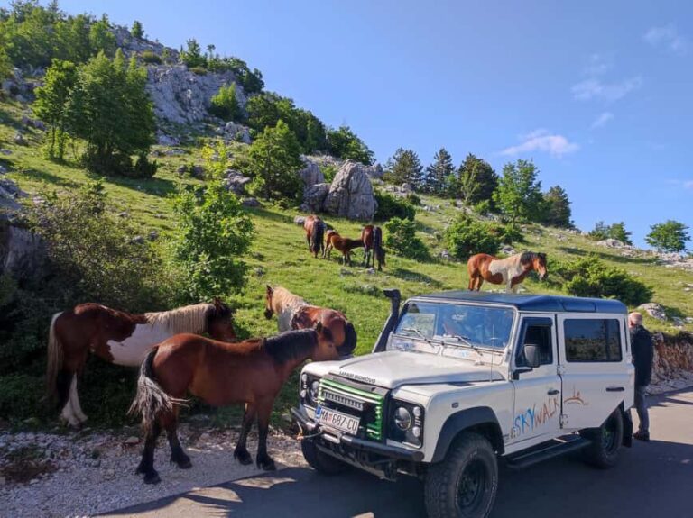 Skywalk (1228 m) and St. George (1762 m) Eco Tour - Who Should Consider This Tour?