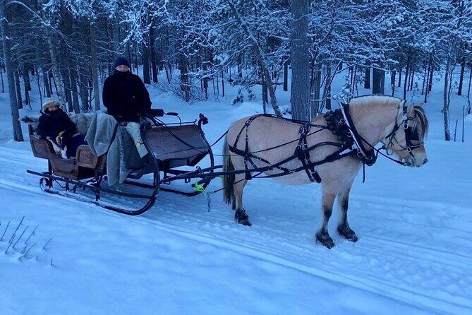 Sleigh or wagon ride in the arctic Country side - The Farm and the Guides: Authenticity at Its Best