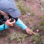 Slough Creek Naturalist Day Hike - The Guides and Educational Focus