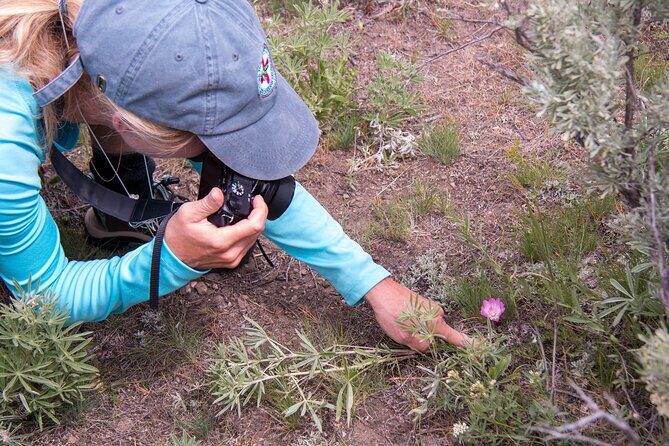 Slough Creek Naturalist Day Hike - The Guides and Educational Focus