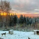 Sluice Box Kennel Experience - Practical Details and Logistics