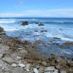 Small Group | 1 Day Tour Through Monterey From San Francisco - Exploring the Itinerary in Detail