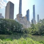 Small Group 2 Hours Walking Tour of Central Park - up to 8 people - The Itinerary – What Can You Expect?