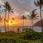 Small Group 3 Hour Honolulu Sunrise Tour with Malasadas - Transportation and Group Size
