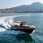 Small group boat tour from Sorrento to Capri - Who Will Love This Tour?