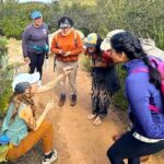 Small Group Hike Through San Diego's Heart and Soul - Wildlife and Plant Encounters