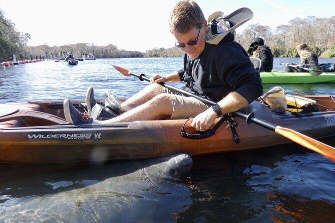 Small Group Sunset Paddle Among Manatees near Orlando - Who Will Love This Tour?