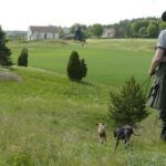 Small Group Swedish Church History 5h Tour to the countryside from Stockholm - Who Would Love This Tour?