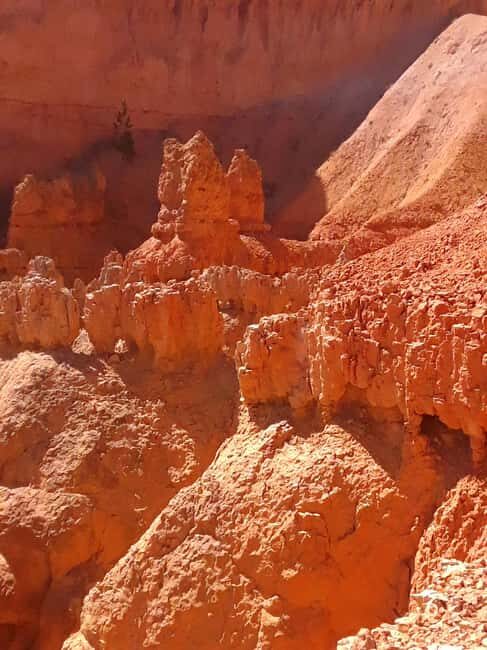 Small Group Tour Zion & Bryce Canyon National from Las Vegas - Practical Tips for the Day