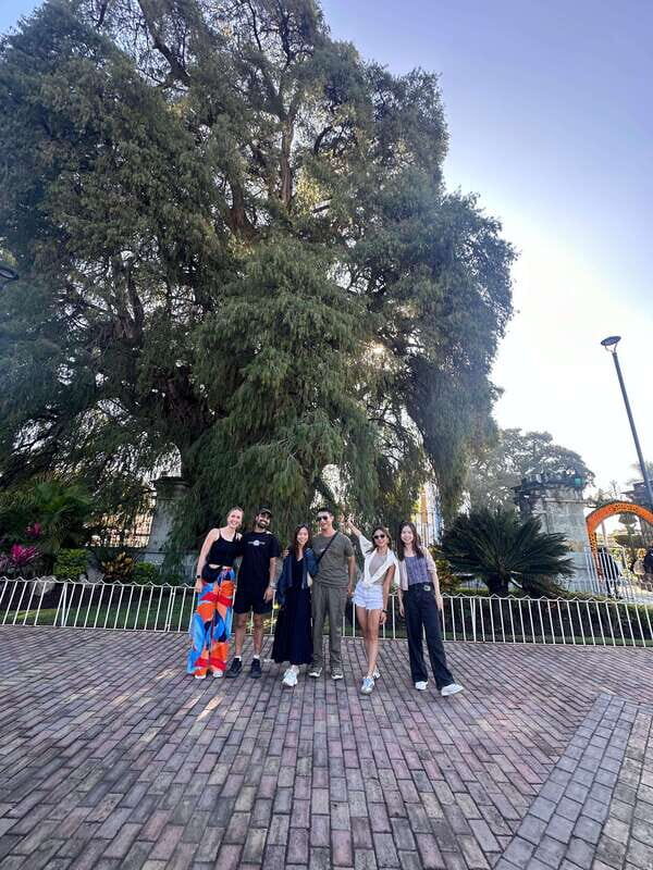 Small group tours: Hierve el Agua, Mezcal, Teotitlán, Mitla and Tule. - The itinerary in detail