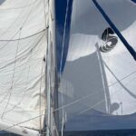 Small Private Catamaran Sunset Tours in San Diego - Wildlife Encounters and Marine Life
