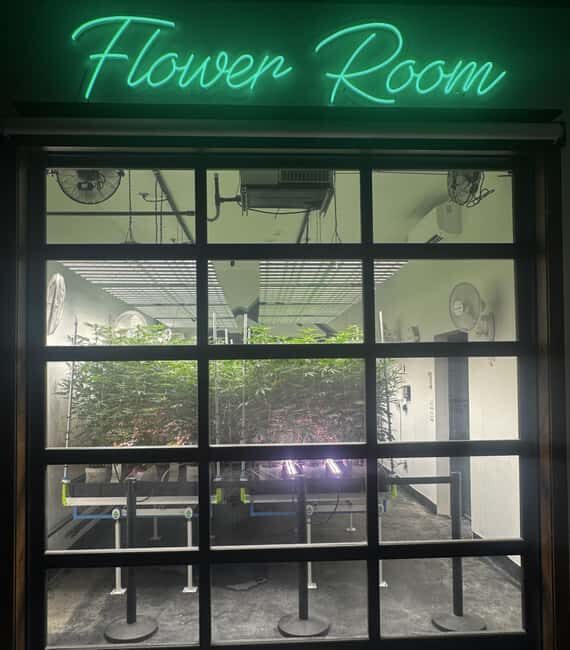 Smoky Mountain Cannabis THC Dispensary Tour & Jeep Adventure - Authentic Experiences and Authenticity