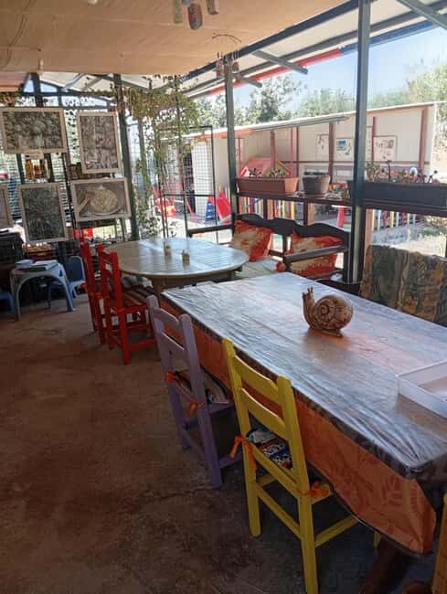 Snail and olive farm tour with table olives & homemade sweet - The Itinerary Breakdown