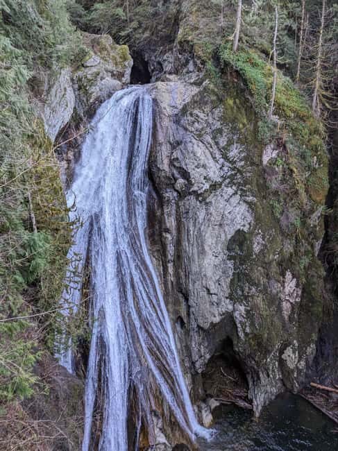 Snoqualmie, Twin Falls & Ancient Forest (Transport Included) - The Experience of a Guided Tour