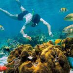Snorkel and swim in Cozumel el Cielo Reef, Palancar and Colombia - Is This Tour Worth the Cost?