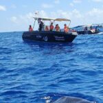 Snorkel and Swimming with Whale Shark in Cancun - Why This Tour Offers Great Value