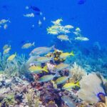 Snorkel at El Farito - The Lighthouse Reservation - Why It Works Well for Certain Travelers