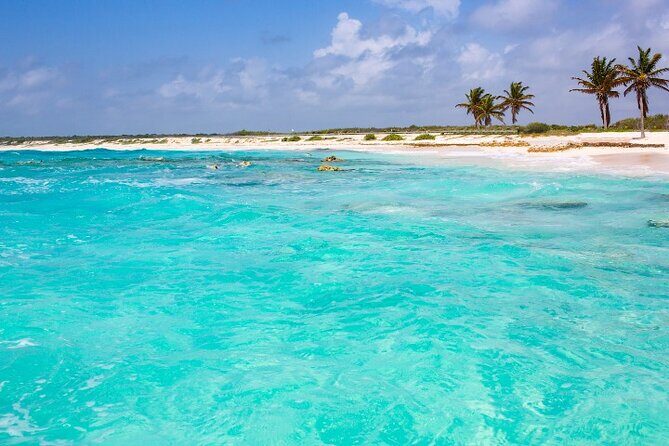 Snorkel in Paradise Cozumel El Cielito Palancar Reef Colombia - What’s Included and What’s Not