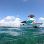 Snorkel in the beautiful reef of Puerto Morelos with transport - Real Traveler Insights