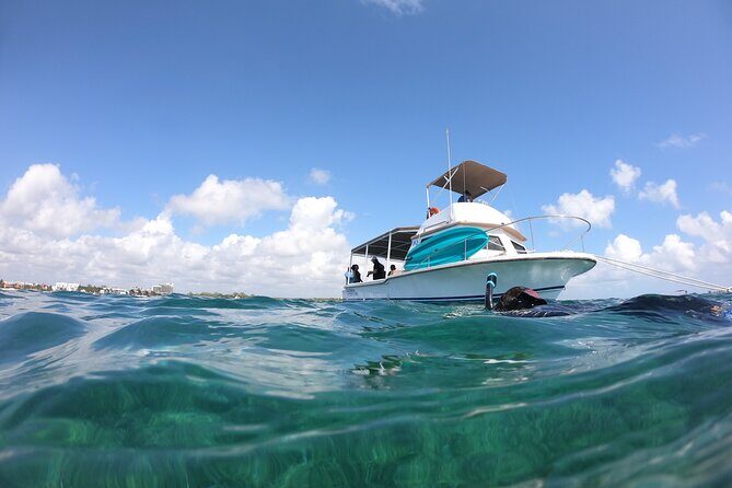 Snorkel in the beautiful reef of Puerto Morelos with transport - Real Traveler Insights