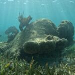 Snorkel Paradise Cancun 5 in 1 For Non Swimmers - Who Will Love This Tour?