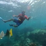 Snorkel Tour in private Trimarán in Los Cabos - Practical Details That Matter