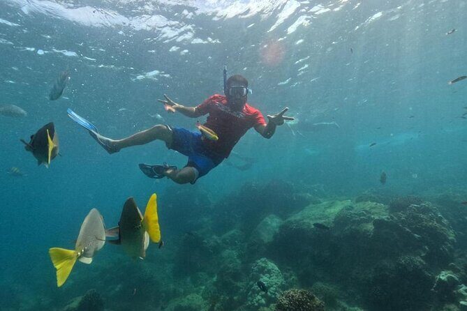 Snorkel Tour in private Trimarán in Los Cabos - Practical Details That Matter