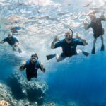 Snorkel with Turtles and Free Underwater Photos Lahaina - Pricing and Value