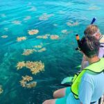 Snorkeling Adventure in Tulum Beach, Kaan Luum Lagoon and Cenote - Authentic Mexican Snacks and Cultural Touches