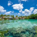 Snorkeling Adventure with Lunch and Tequila Tour - Analyzing the Value and Practicalities