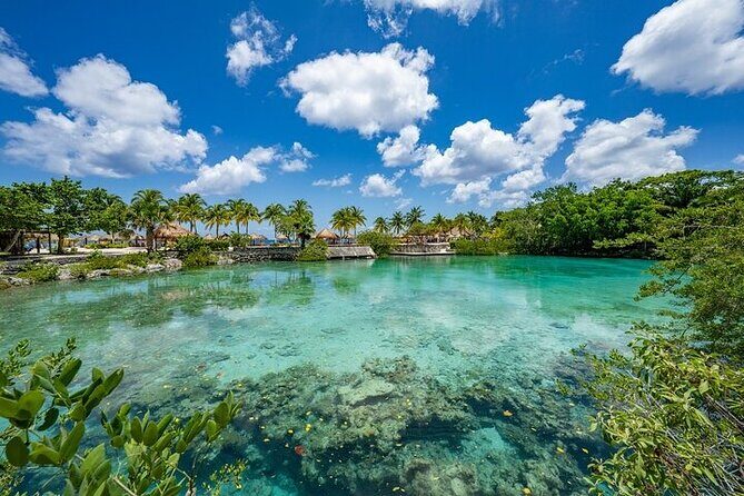 Snorkeling Adventure with Lunch and Tequila Tour - Analyzing the Value and Practicalities