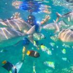 Snorkeling at Los Arcos 5 islands Hidden Beach and Cliff Jumping - Authentic Experiences Shared by Reviewers