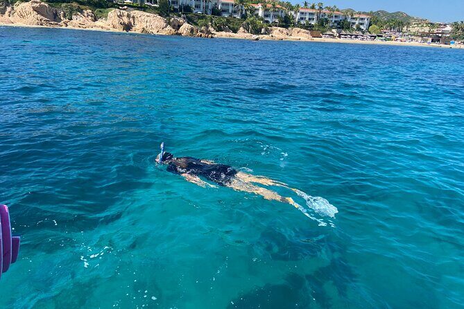Snorkeling en San José del Cabo , Lunch , Snack , Drinks - Final Thoughts: Who Is This Tour Best For?