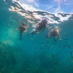 Snorkeling in Marietas Islands and BBQ in Playa Majahuitas - Practical Details and Customer Experience