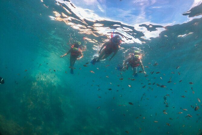 Snorkeling in Marietas Islands and BBQ in Playa Majahuitas - Practical Details and Customer Experience