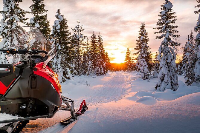 Snowmobile Tours in Rovaniemi Lapland - Authentic Experiences and Highlights from Reviewers