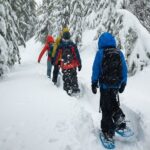 Snowshoe Rentals in South Lake Tahoe - Final Thoughts: Is It Worth It?