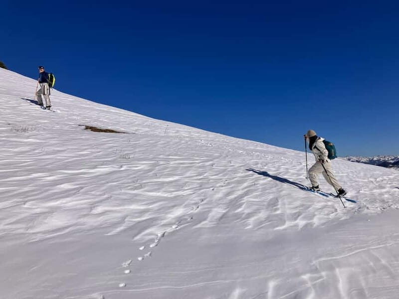 Snowshoeing in Bakuriani, Caucasus Mountains - What’s Included and What to Consider