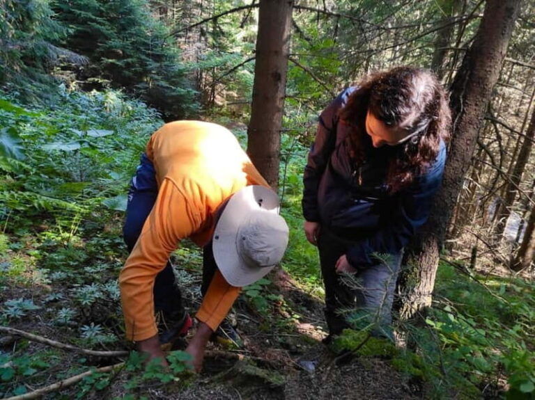 Sofia: Culinary Adventure To The Fungi And Botanical Kingdom - Why This Tour Offers Great Value