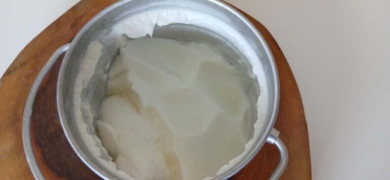 Sofia: Taste Bulgarian Yogurt Kiselo Mlyako in a Family Home - What Makes This Tour Special?